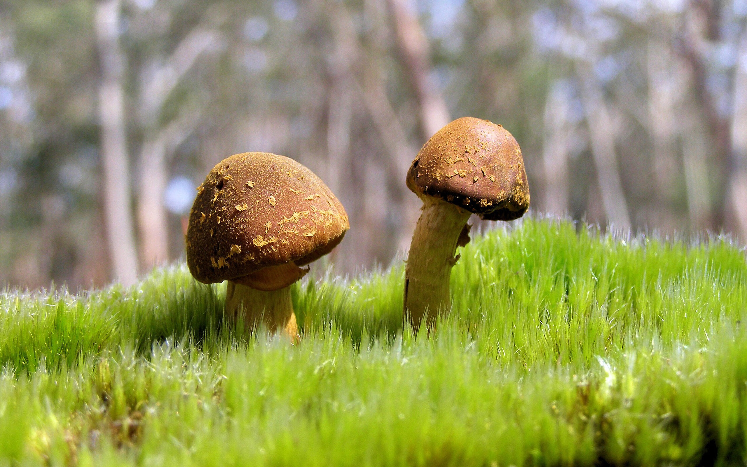 kaiyun中国官方网站-亲临现场：车迷的热情与激情展现