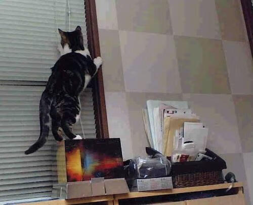 Kaiyun(中国)开云-海底潜水摄影争霸，展现深海美丽风光，海底潜水照片