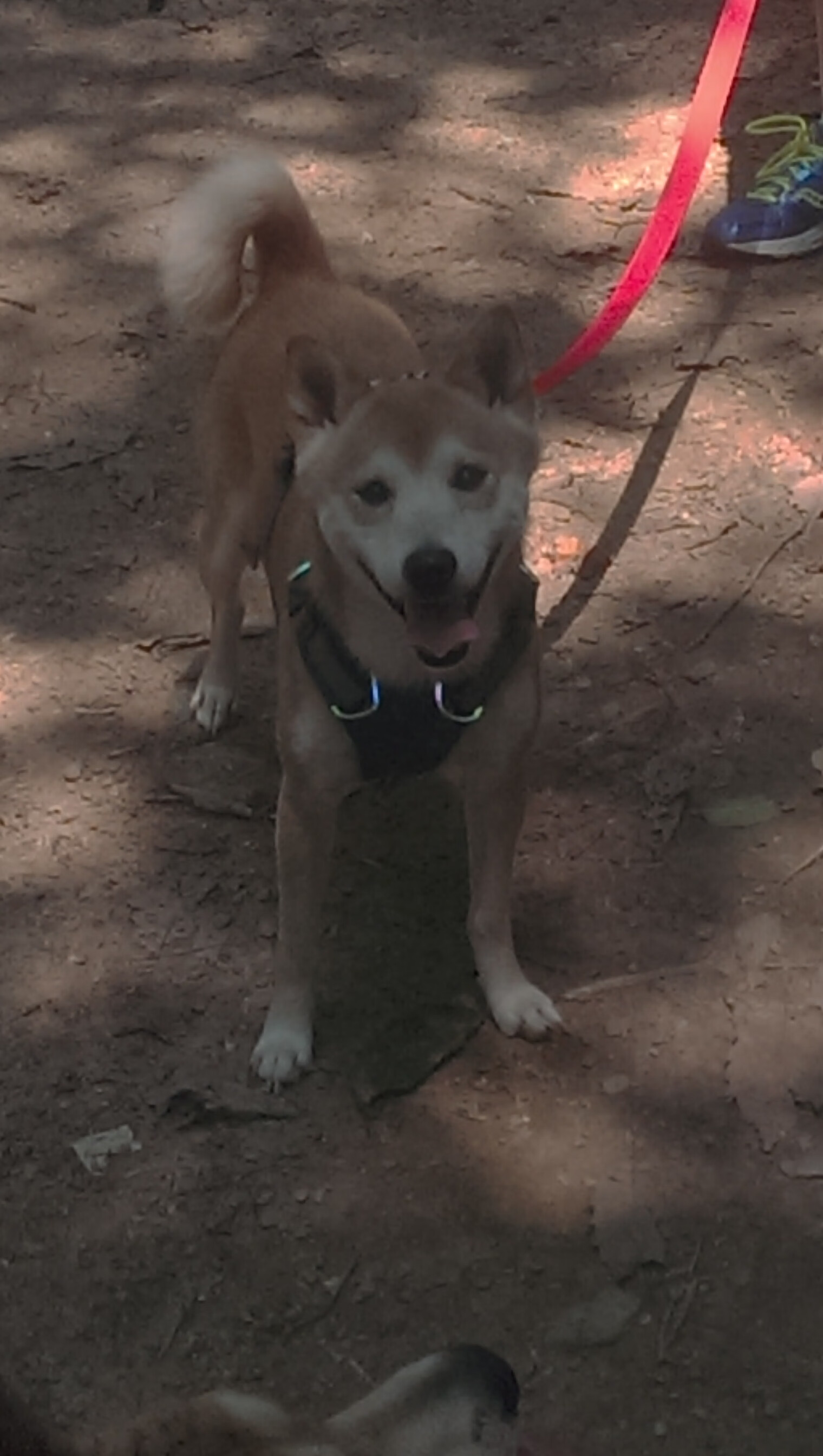 开云·体育官网-电竞赛事直播创新互动模式，观众参与热情高涨，电子竞技网络直播