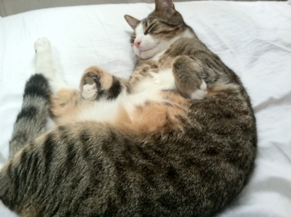 第五人格全球邀请赛,心理战术比拼精彩纷呈,第五人格线下比赛2021