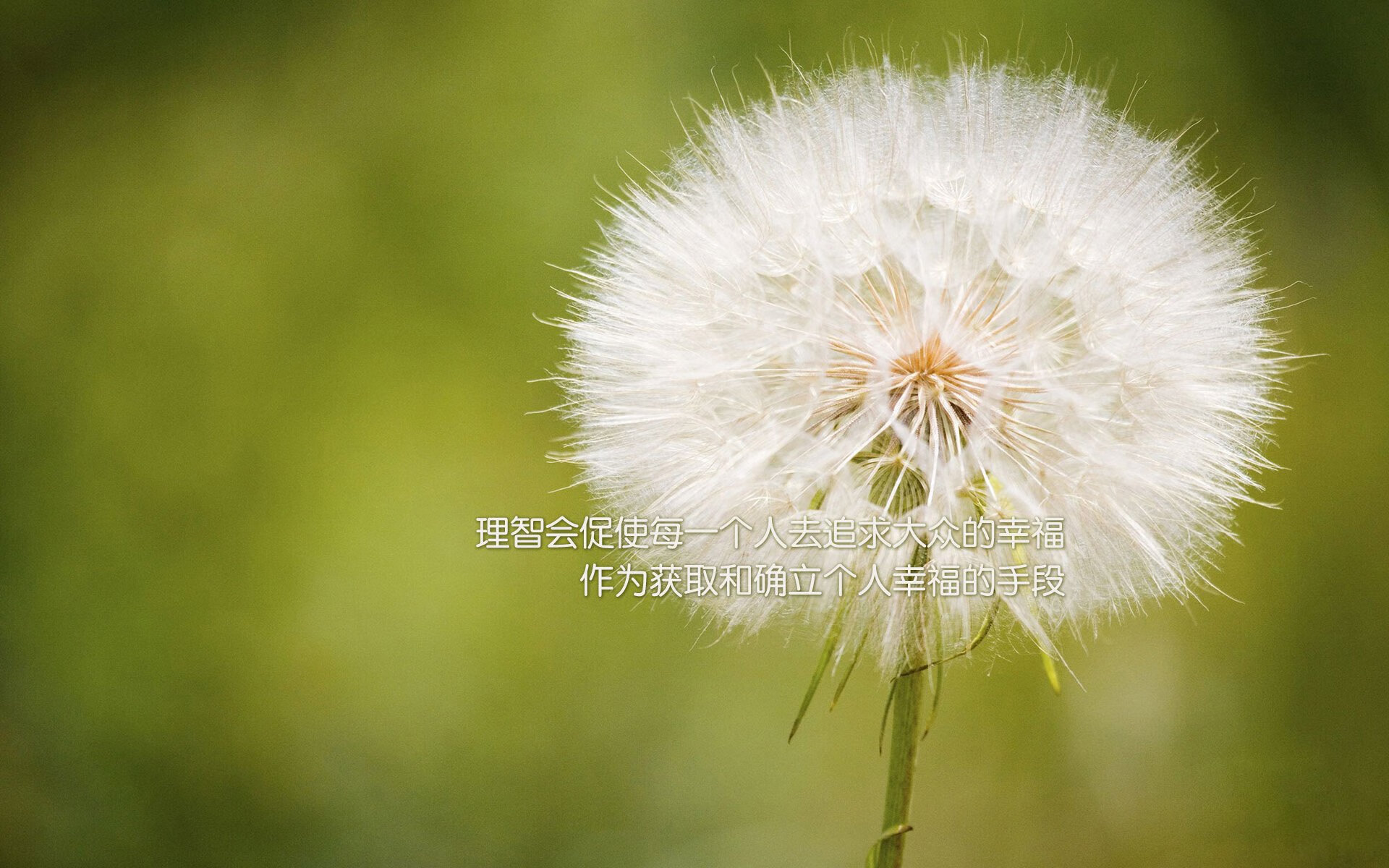 细节决定成败:战术中不容忽视的小细节,细节决定成败的解释