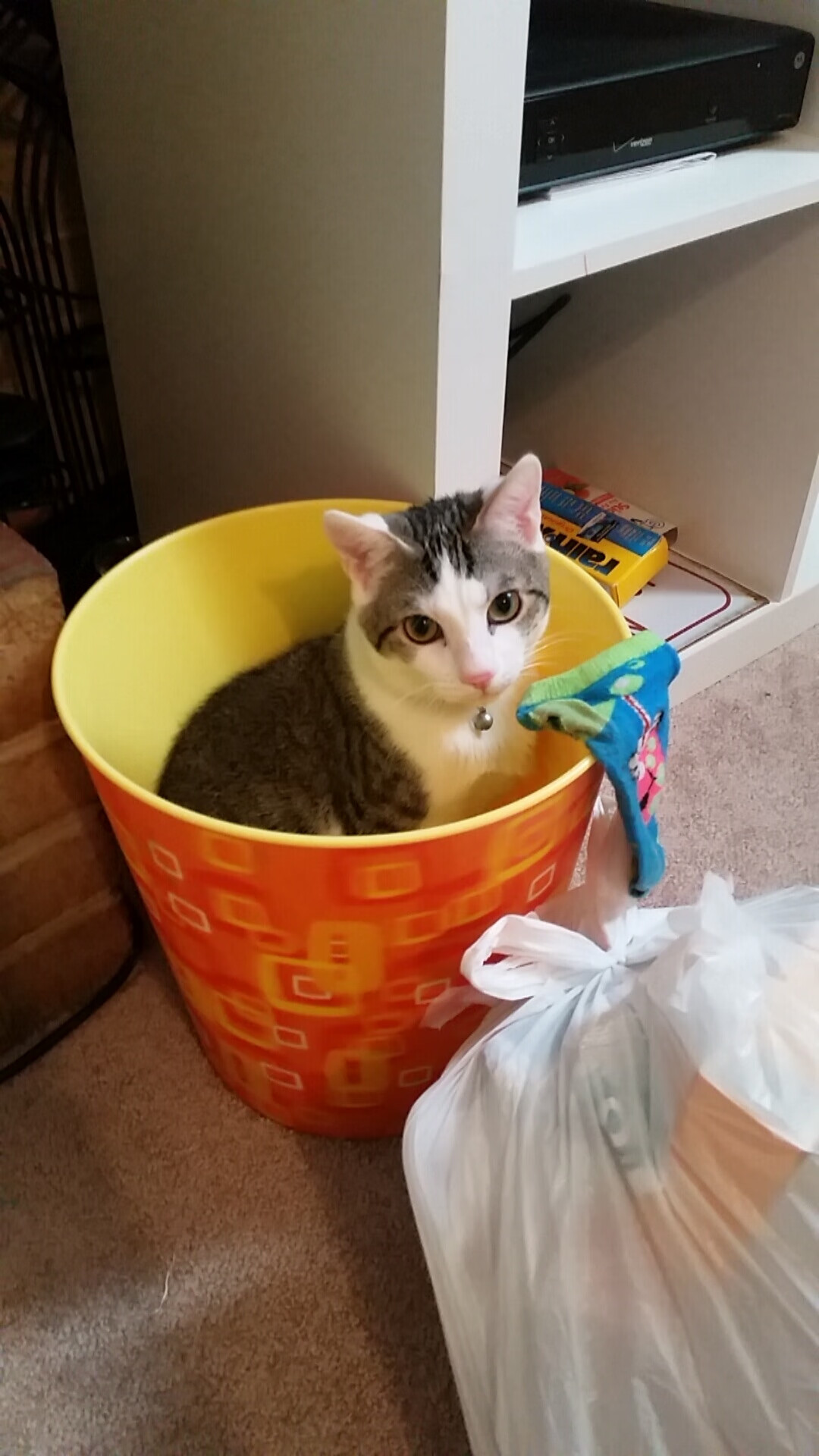 开云中国大陆-中超联赛营销策略创新，球迷互动频频，中超俱乐部运营