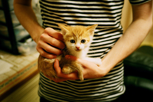 开云·Kaiyun网页版-卡昂球员集体发挥失常，客场惨败，卡昂对阵第戎