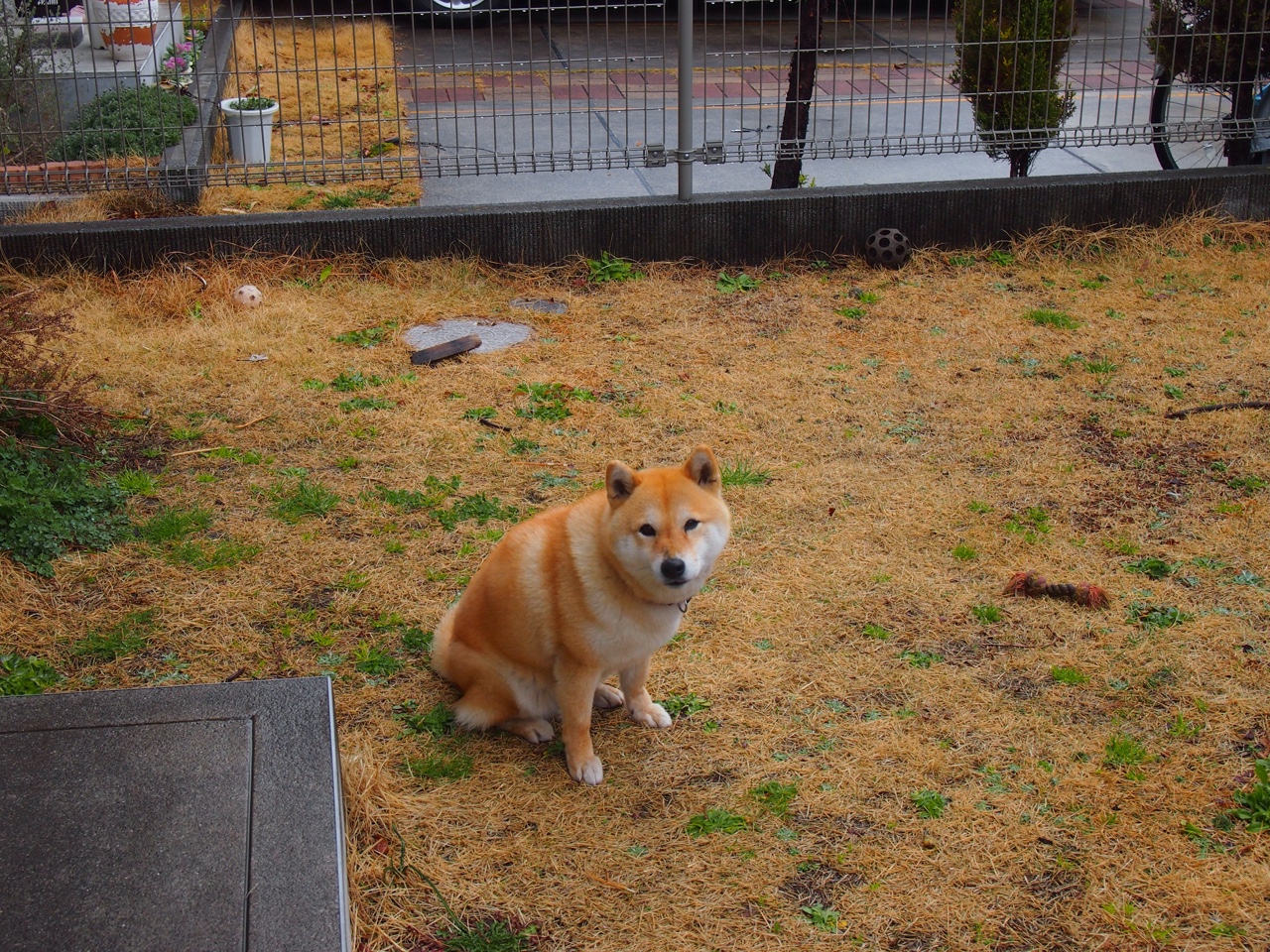 国足队内竞争激烈，主力位置更具挑战，国足局面