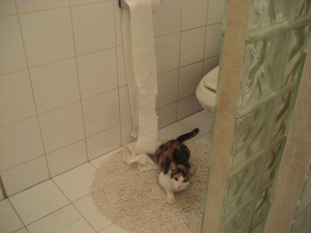 尤文图斯憾负拜仁,遗憾出局下一轮,尤文图斯对拜仁