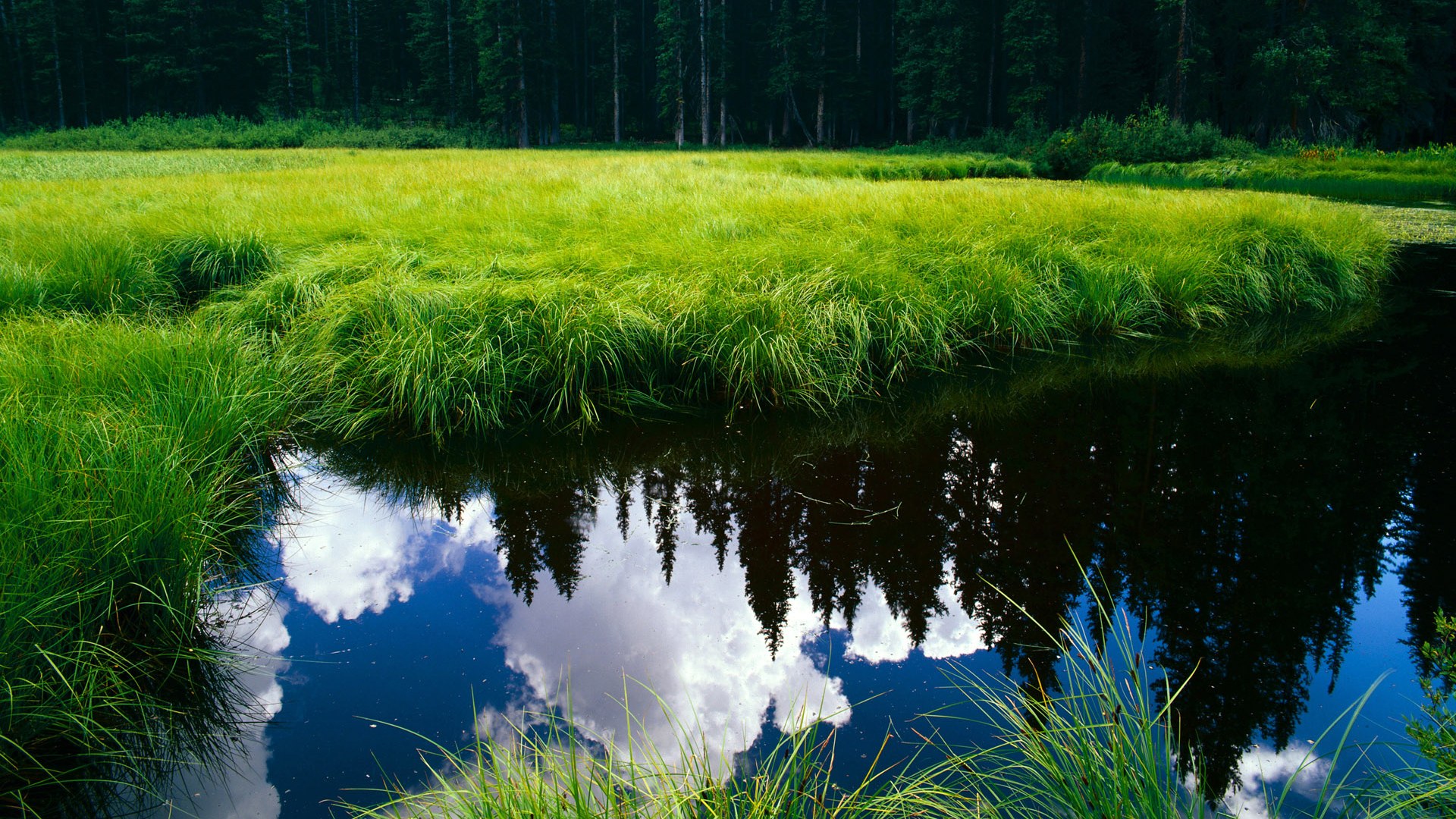 战火重燃，球场上的激情斗志点燃观众热情，球场上热血的话语