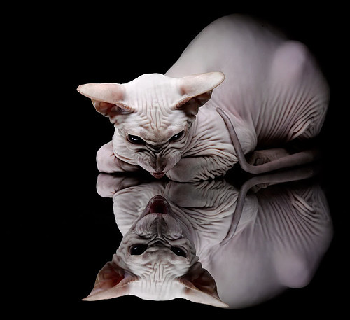 开云平台-精彩对抗！球员们全力冲刺，场上火药味十足，球员冲刺速度