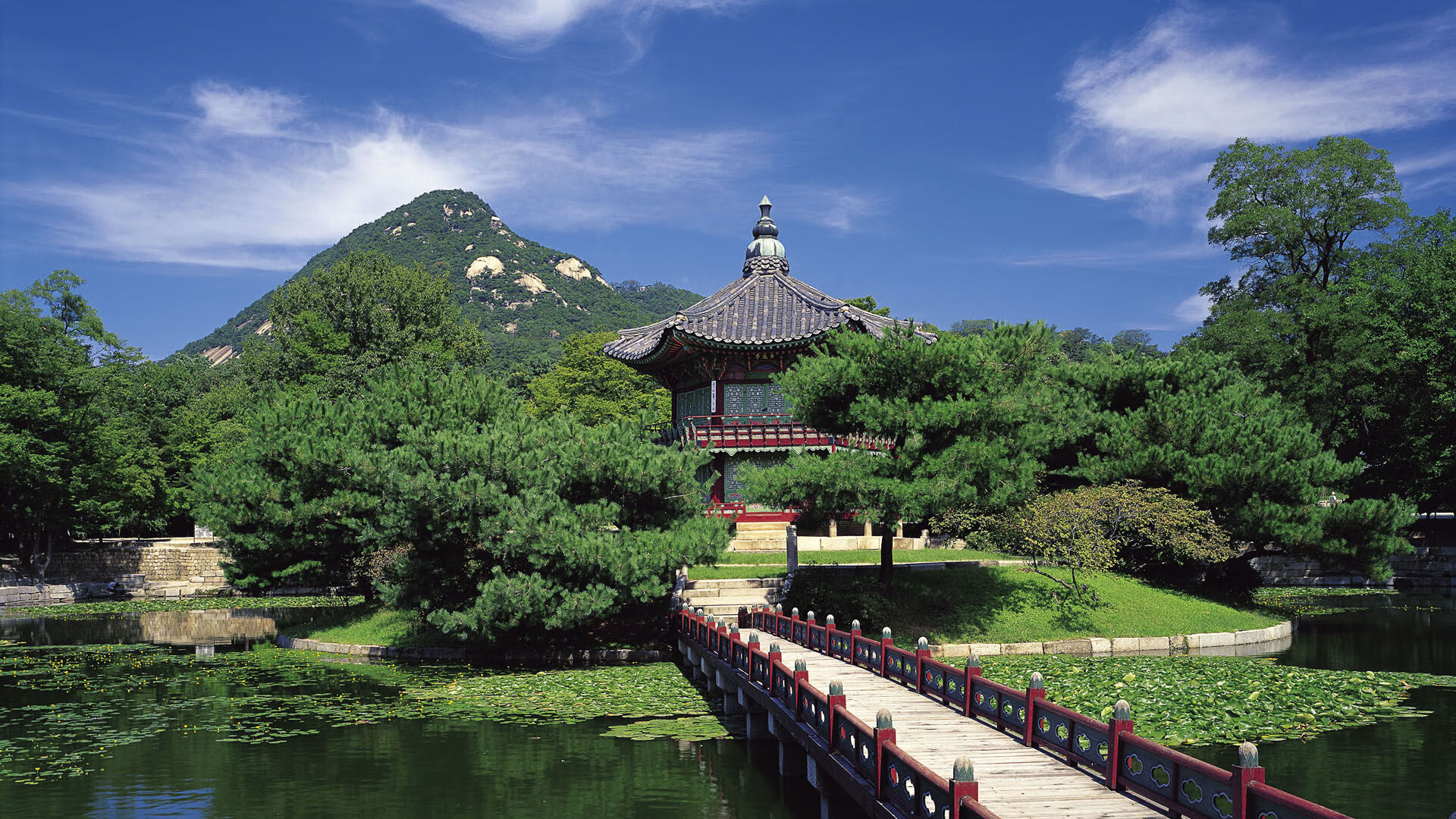 开云kaiyun-荷兰队球员伤愈复出，欧洲杯出线前途光明，荷兰队 欧洲杯阵容