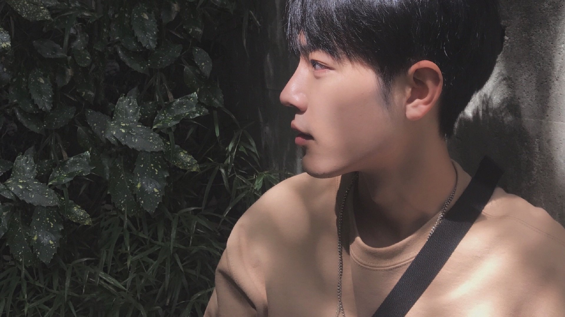 雷恩主场战胜尼斯,取得重要胜利,法甲雷恩对尼斯