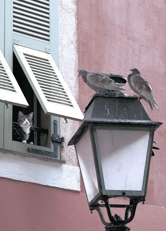 NBA新秀状元初登场展现天赋，nba状元秀名单