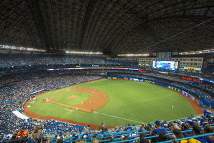 Kaiyun APP-世界击剑锦标赛中国女花首次进四强，击剑世界冠军女