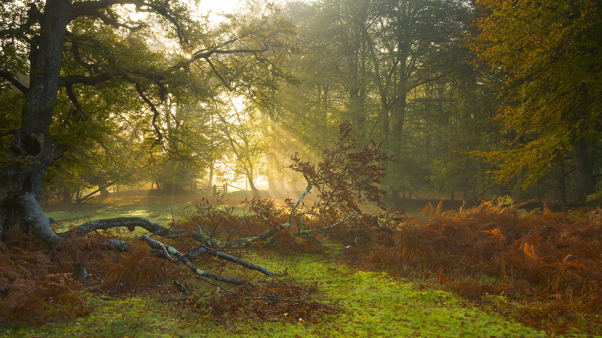 中国篮球青训课程质量提升与改革探索,中国篮球青训现状