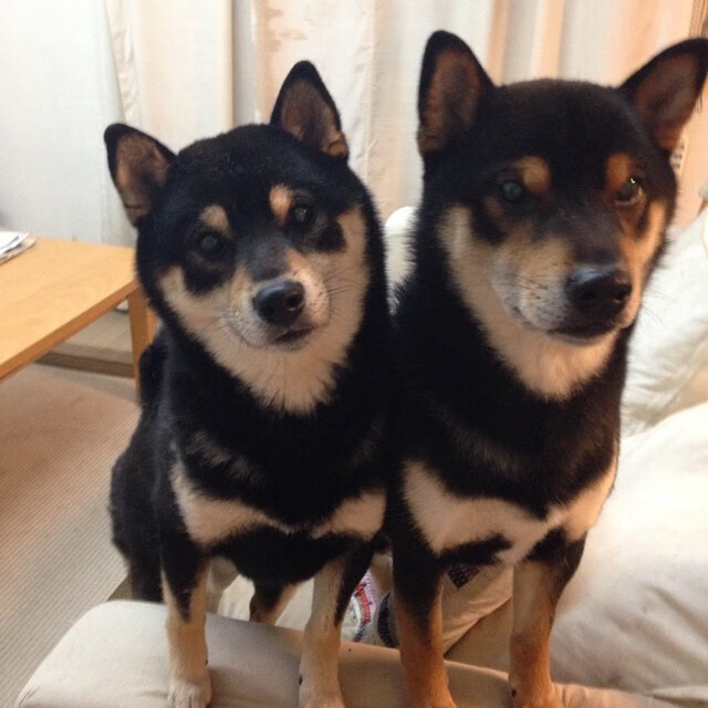 开云·Kaiyun网页版-全国老年乒乓球联赛精彩纷呈，乒乓球全国老年组冠军