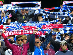 开云kaiyun-球迷文化盛宴：从欧洲到亚洲的足球狂欢，中国足球球迷文化