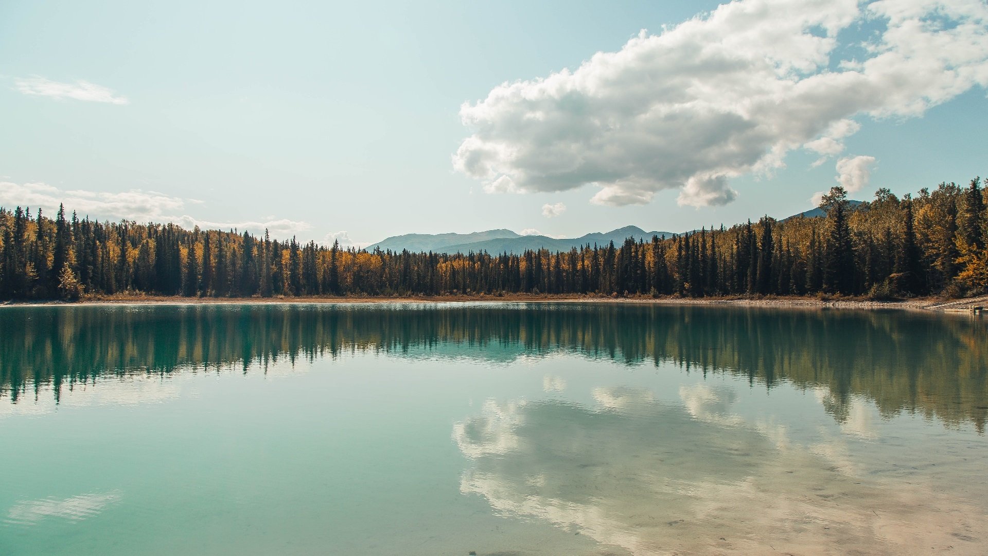 赛季揭幕战:五大联赛豪门逐鹿争锋,五大联赛豪门排行