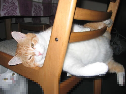 中国男篮提升防守强度,中国男篮面临一个可怕的对手