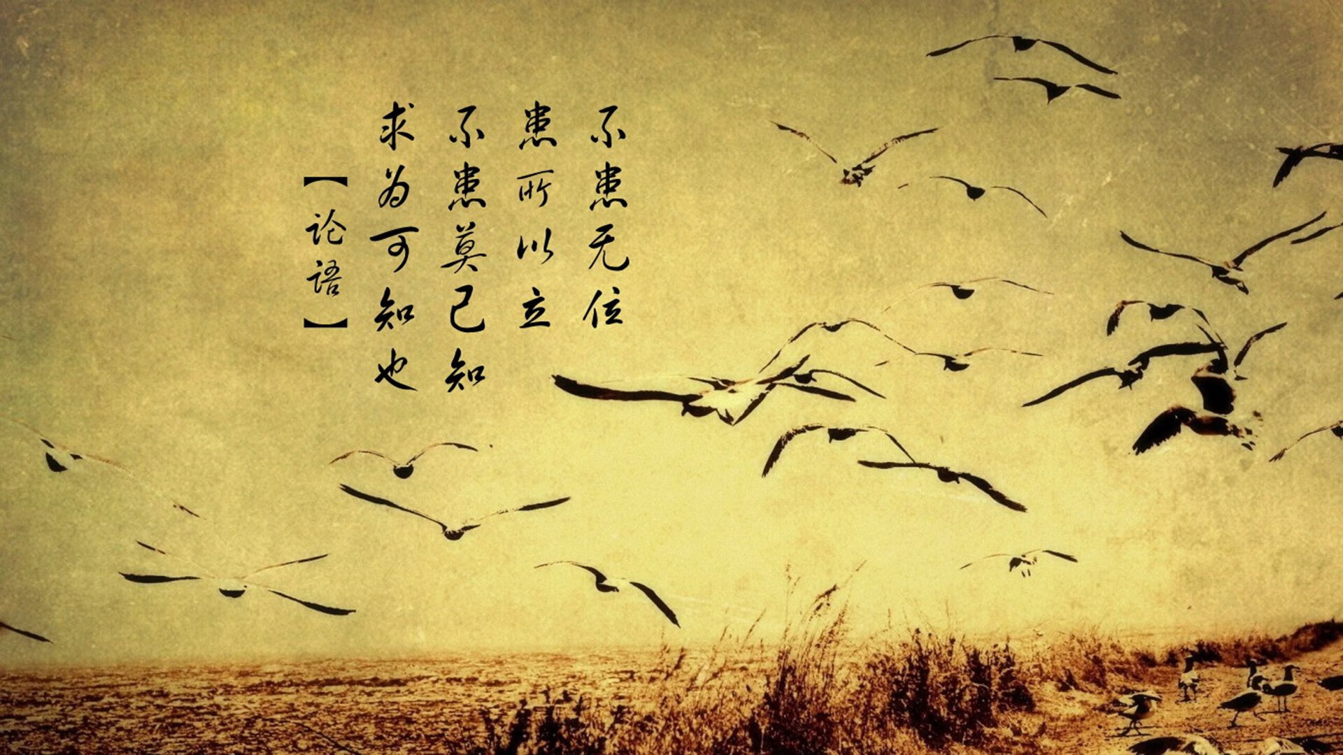 斯洛伐克男篮在欧洲大赛中追梦不停,迈向更远的目标,斯洛伐克篮球国家队