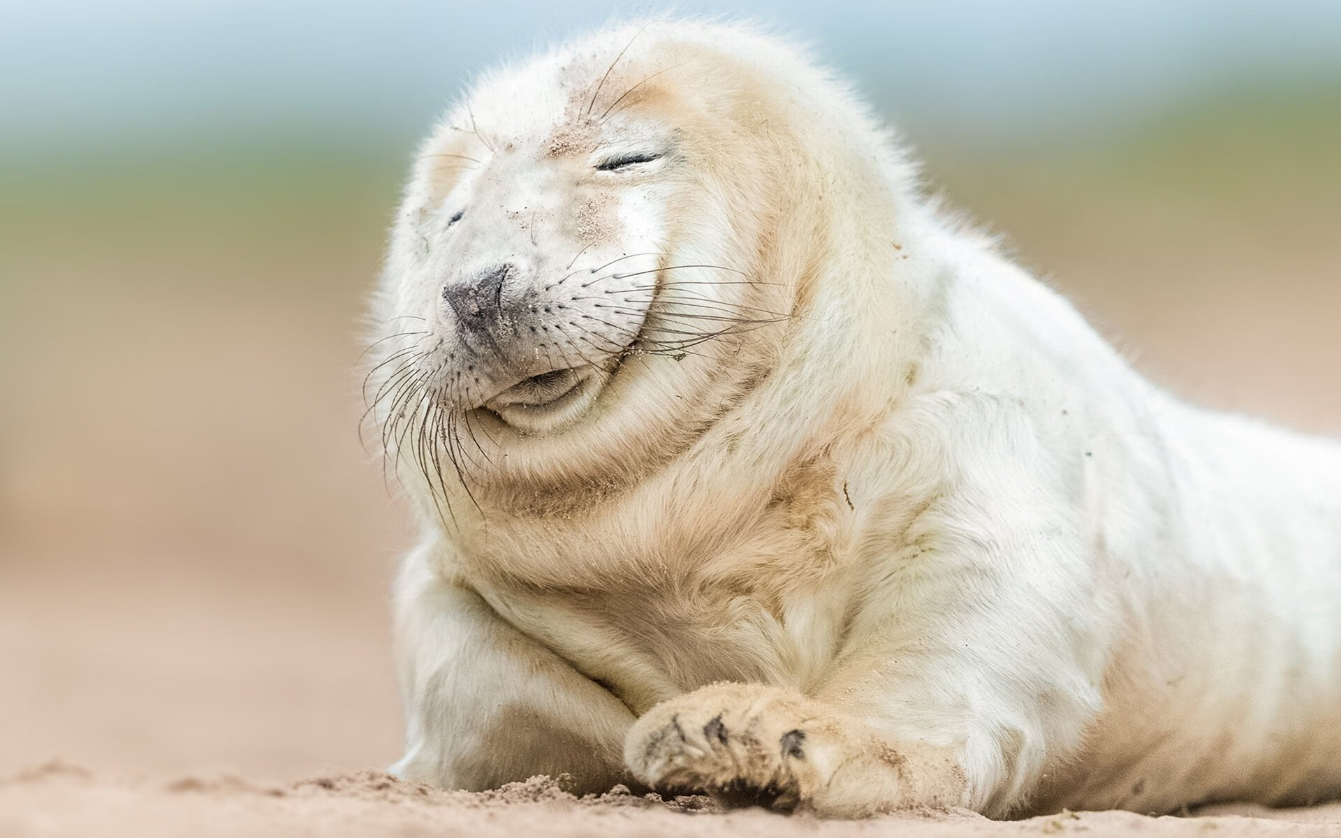 kaiyun网站-陈佳比赛现场气场全开，陈佳比赛现场气场全开视频